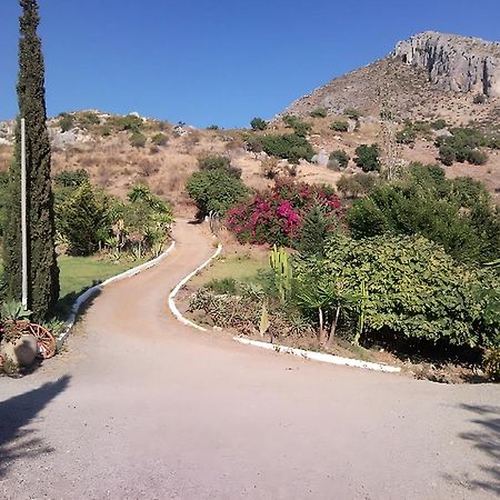 Finca Santa Matilde Málaga Extérieur photo