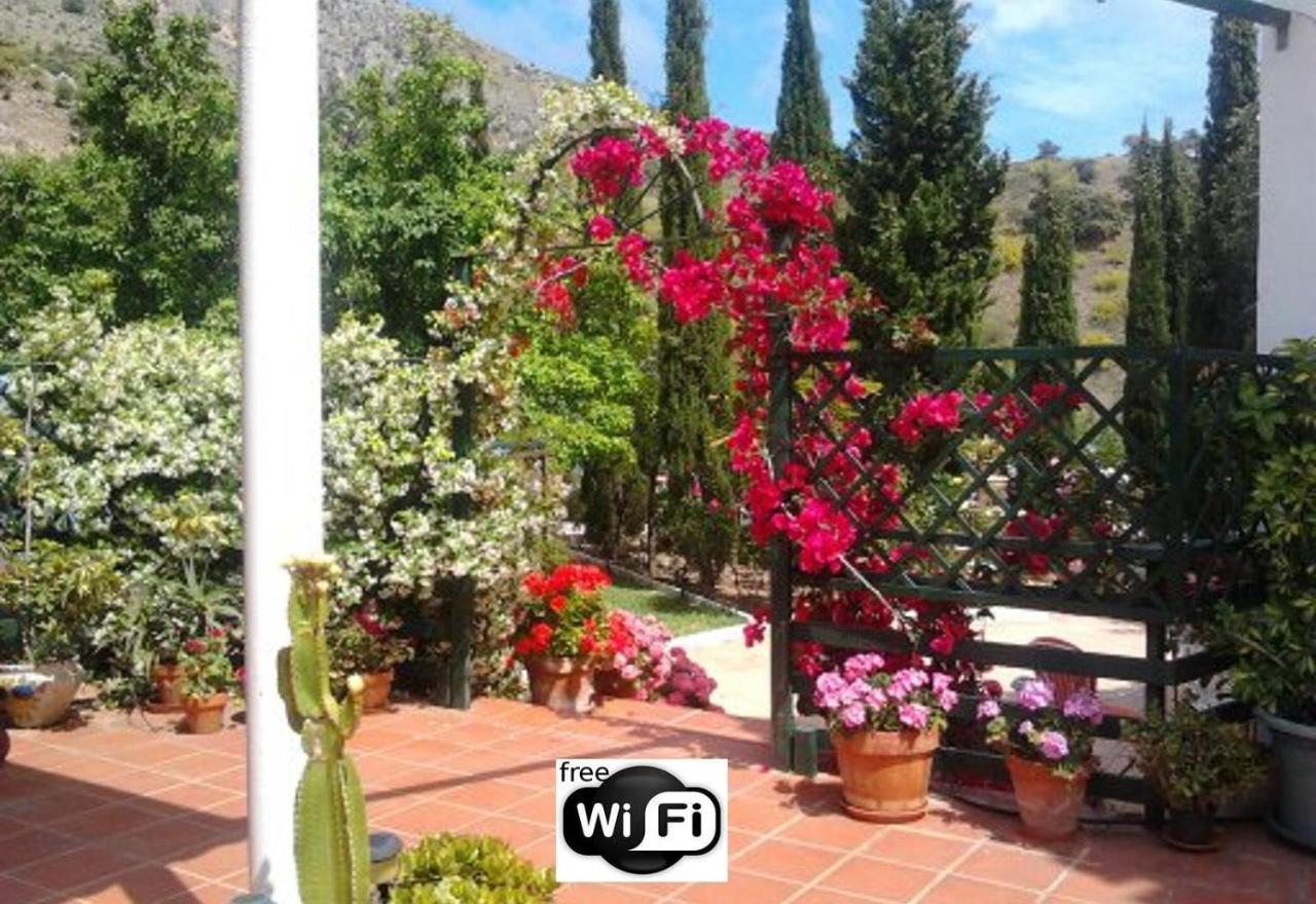 Finca Santa Matilde Málaga Extérieur photo