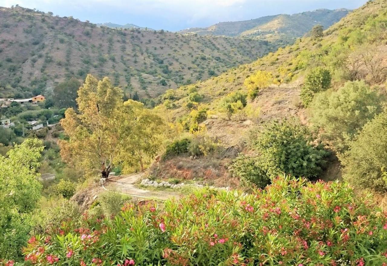 Finca Santa Matilde Málaga Extérieur photo