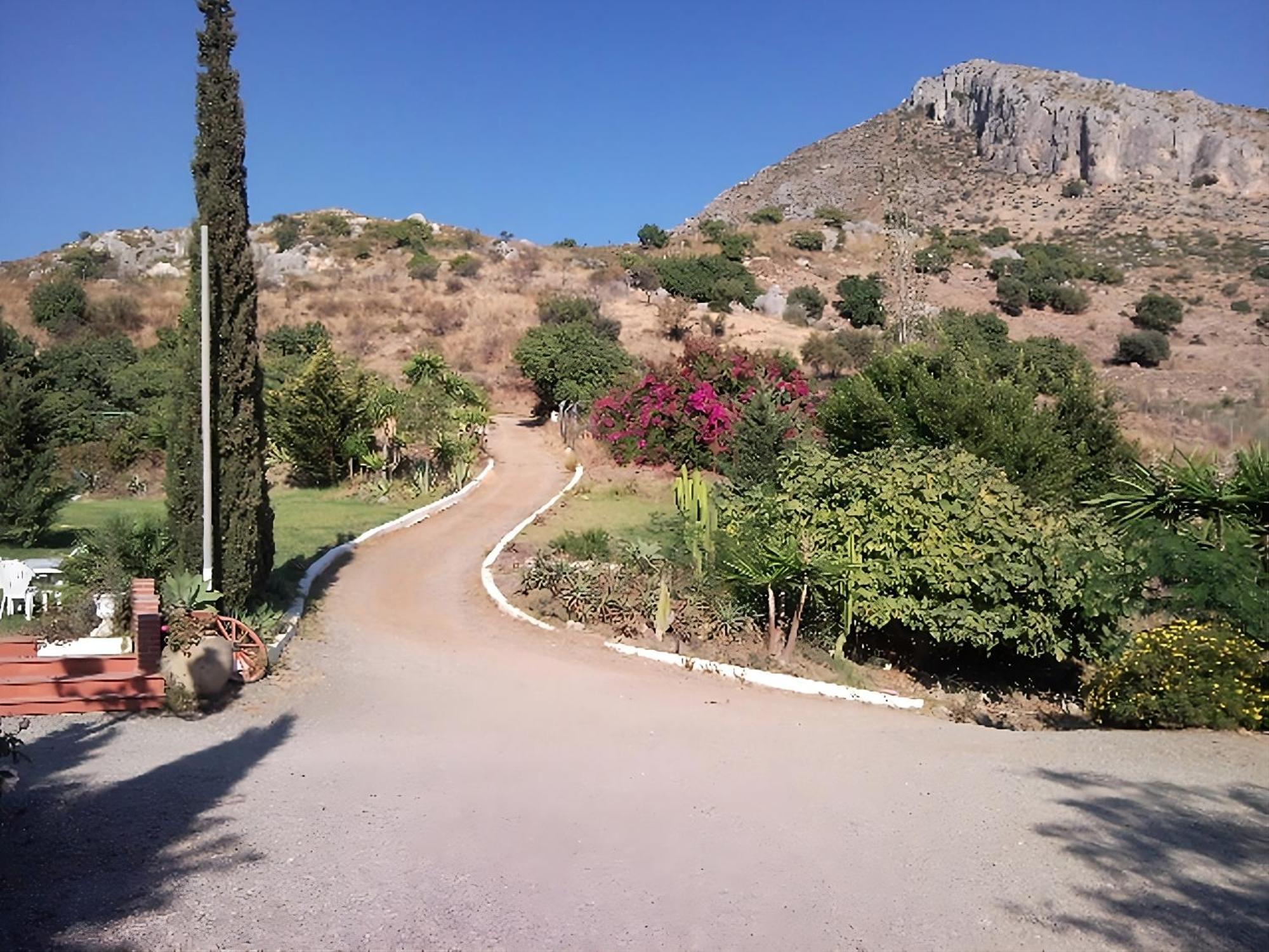 Finca Santa Matilde Málaga Extérieur photo